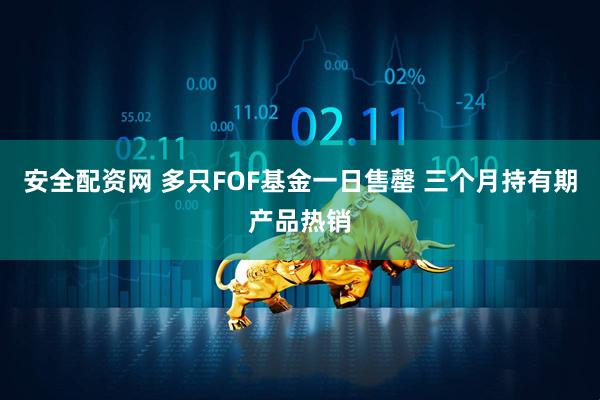 安全配资网 多只FOF基金一日售罄 三个月持有期产品热销