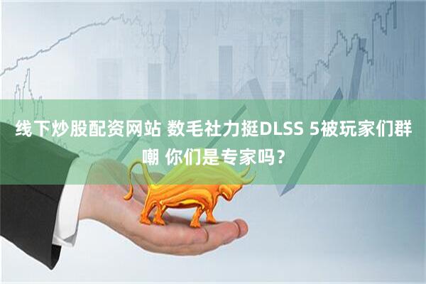 线下炒股配资网站 数毛社力挺DLSS 5被玩家们群嘲 你们是专家吗？